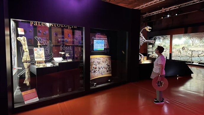 La exposición en la que se incluye el cráneo del estegosaurio.