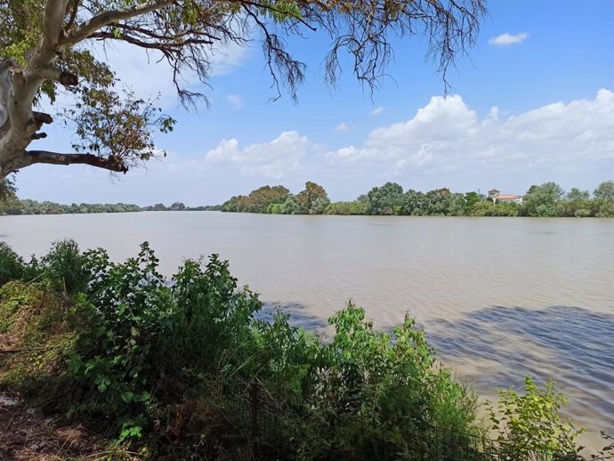 Imagen de archivo de un paraje natural en la comarca del Bajo Guadalquivir