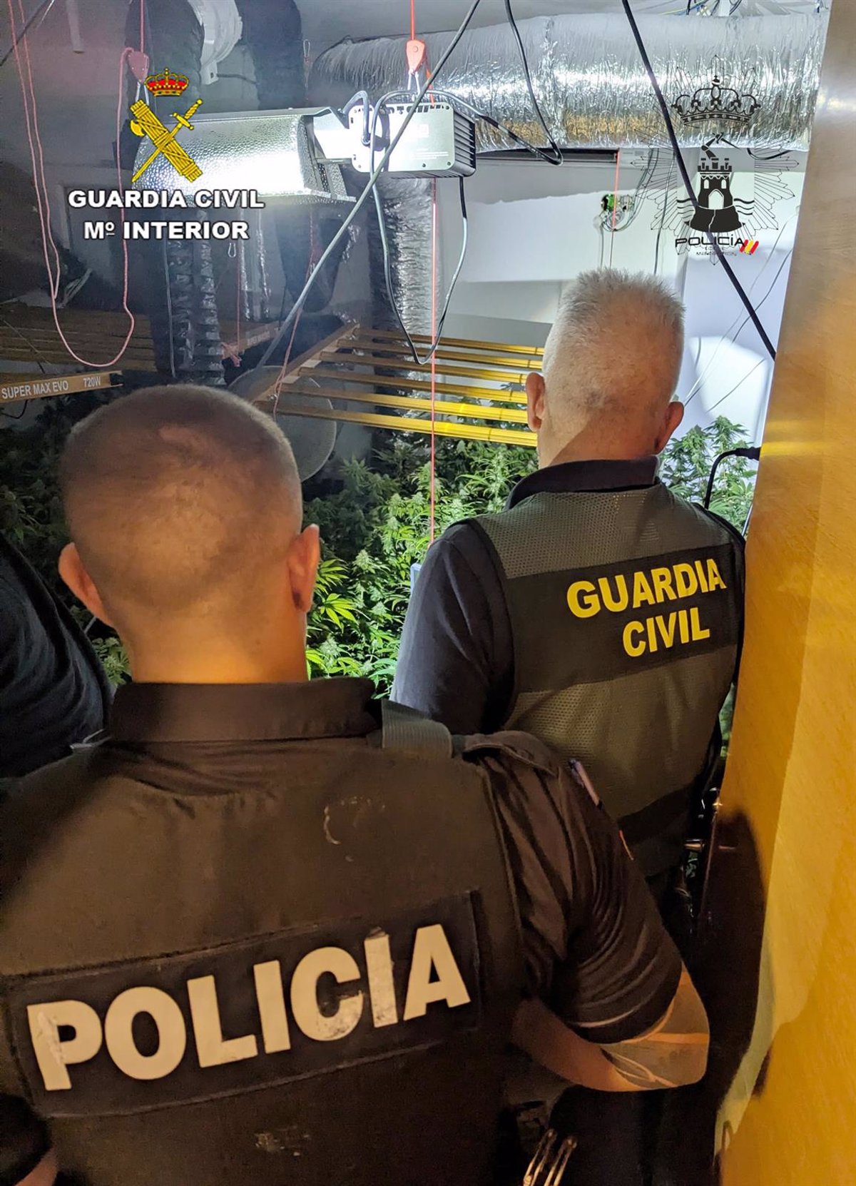 Guardia Civil detiene a una persona e investiga a otra con 157 plantas de cannabis en una vivienda de Mazarrón