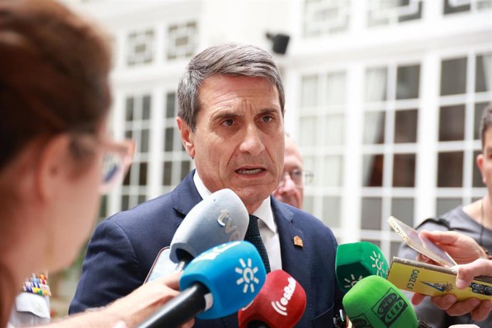El delegado del Gobierno de España en Andalucía, Pedro Fernández, en una imagen de archivo. 