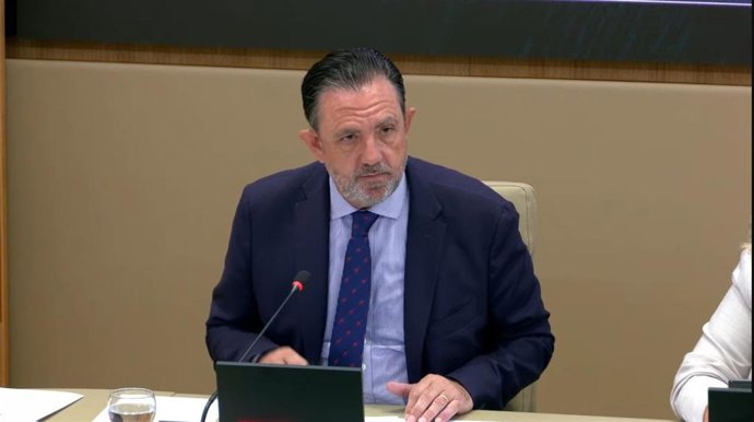 El conseller de Empresa, Empleo y Energía, Alejandro Sáenz de San Pedro, en la Comisión de Hacienda.