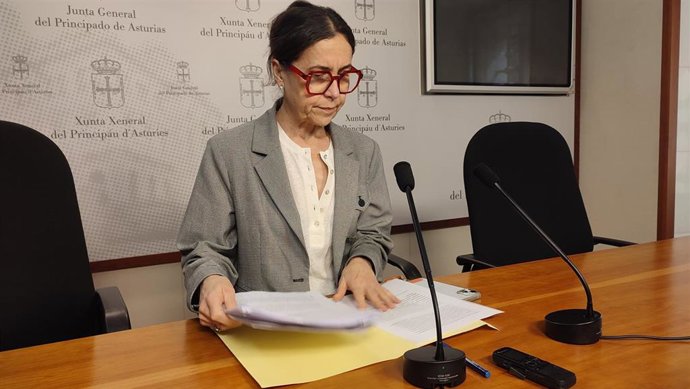 La portavoz del Grupo Parlamentario Socialista en la JGPA, Dolores Carcedo.