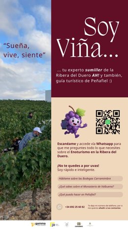 Los alumnos de FP de Turismo del CIFP 'Felipe VI' de Segovia han elaborado un proyecto de Inteligencia Artificial aplicada al enoturismo de Ribera del Duero