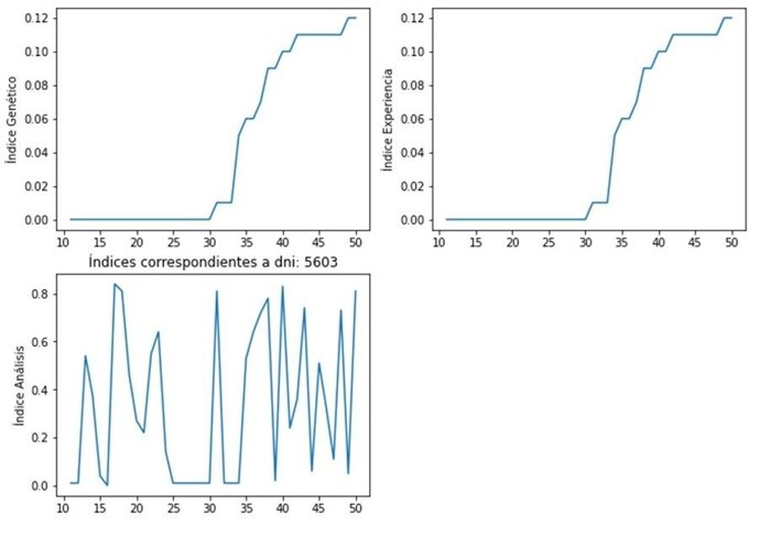 Genético, experiencia, análisis.