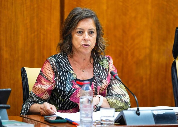 La consejera de Sostenibilidad y Medio Ambiente, Catalina García, en Comisión parlamentaria a fecha de 04 de junio de 2025.