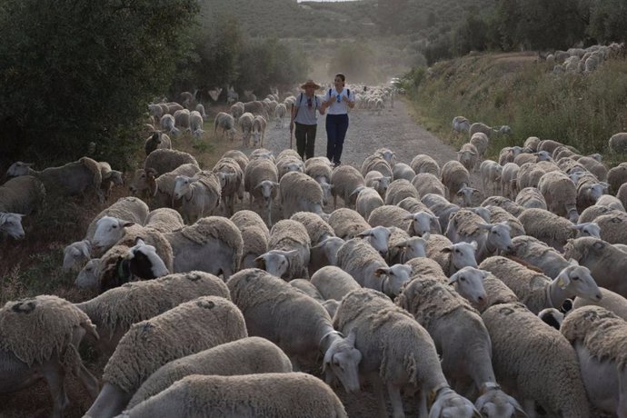 Esandalucia