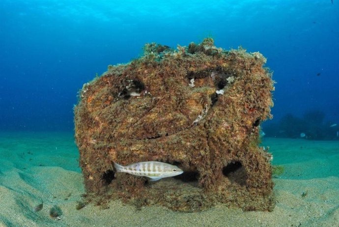 Ona Futura moviliza más de un millón de euros con cinco proyectos para regenerar el fondo marino del Mediterráneo