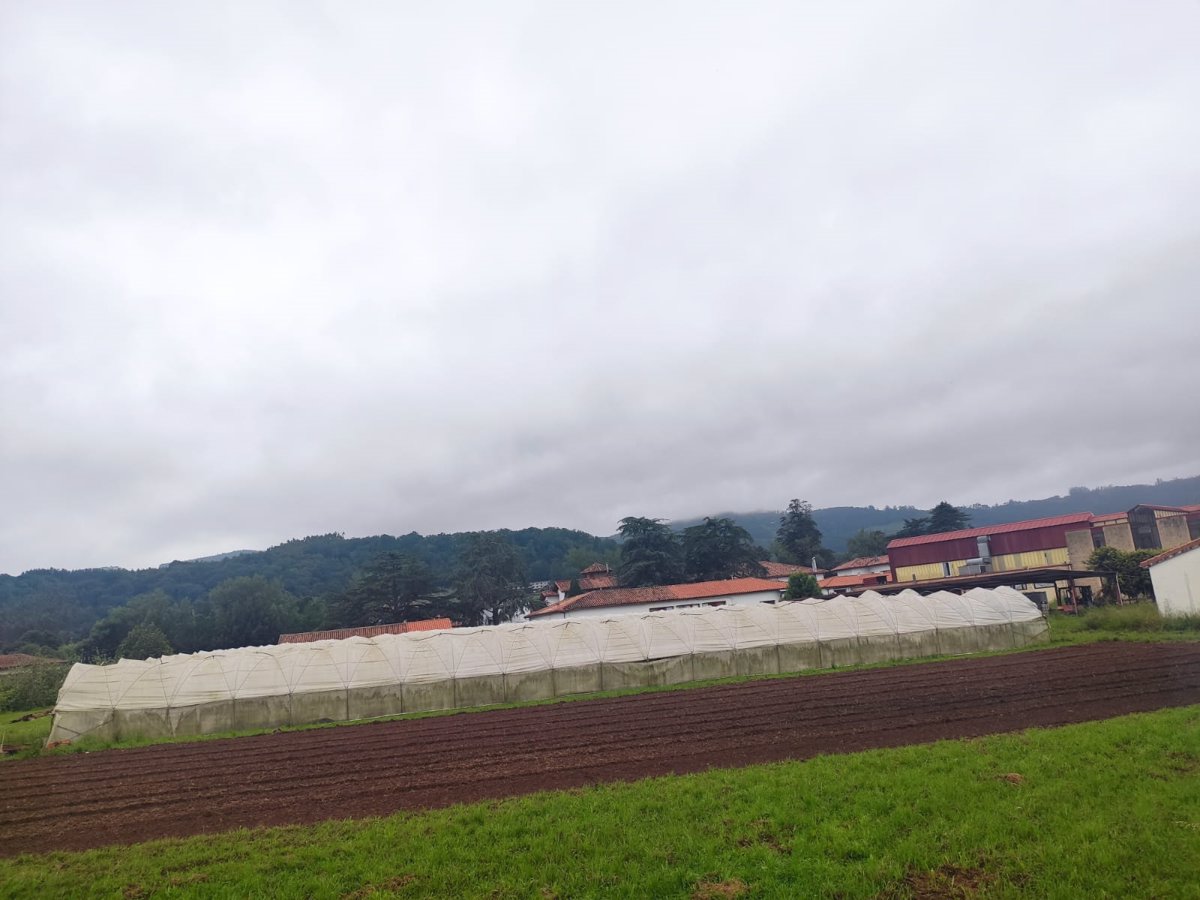 Mayo de 2025 fue en Asturias  un mes normal , según la Aemet