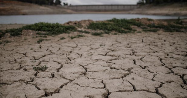 Medio Ambiente