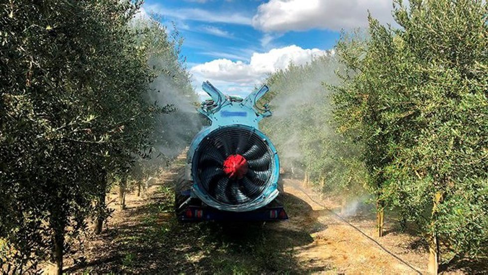 Archivo - Explotación agraria