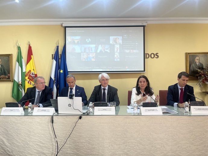 Federico Fernández,presidente de Consejo Andaluz de Colegios de Abogados; Eugenio Ribón,vicepresidente de Consejo General de la Abogacía; Salvador González,presidente de Abogacía; Encarna Orduna,secretaria del Consejo, y Borja Vargues, secretario técnico.