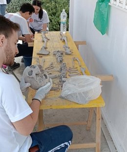 Participantes en una edición anterior Campo de Voluntariado en Arqueología de Marroquíes Bajos.