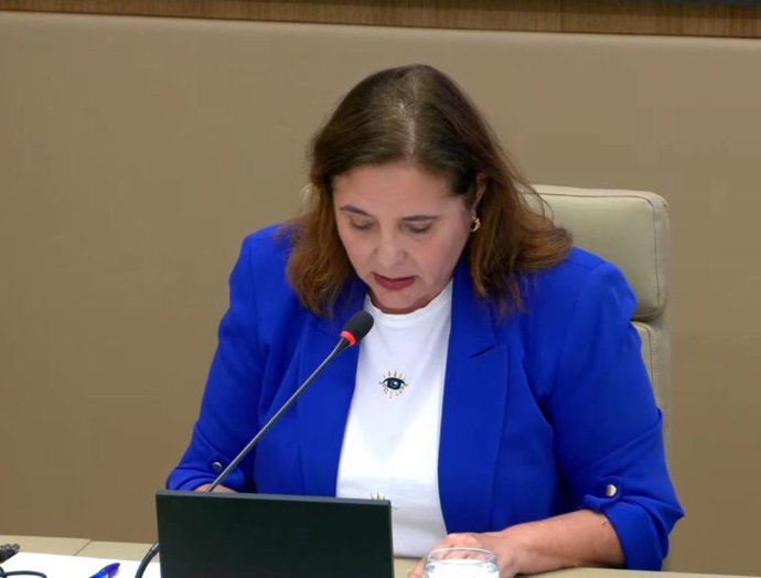 La consellera de Salud, Manuela García, en su comparecencia en la Comisión de Hacienda y Presupuestos del Parlament.