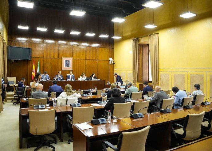 El consejero andaluz de Industria, Energía y Minas, Jorge Paradela, comparece en comisión parlamentaria.