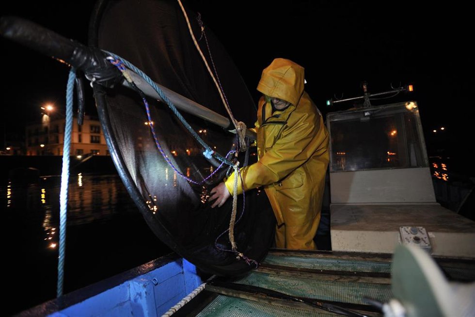 Pesca de angulas