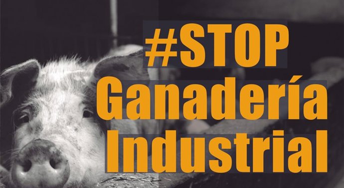 Archivo - Cartel contra las macrogranjas de cerdo