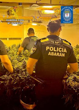 Agentes de la Guardia Civil y de la Policía Local de Abarán, en el invernadero desmantelado