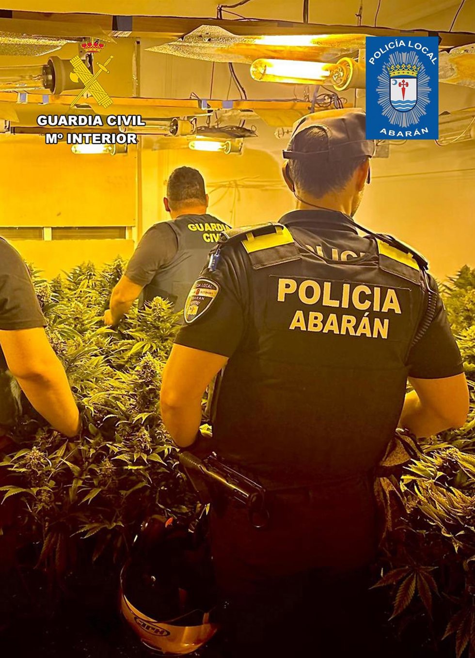 Agentes de la Guardia Civil y de la Policía Local de Abarán, en el invernadero desmantelado