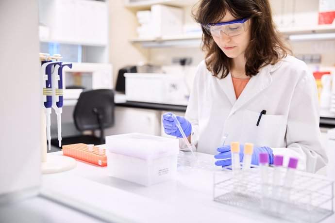 Laboratorio