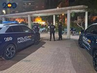 Detenidas tres personas por diferentes delitos en un dispositivo policial en zonas de ocio de Molina