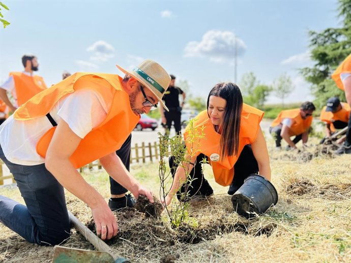 Plantación de árboles con motivo del Día Mundial del Medio Ambiente