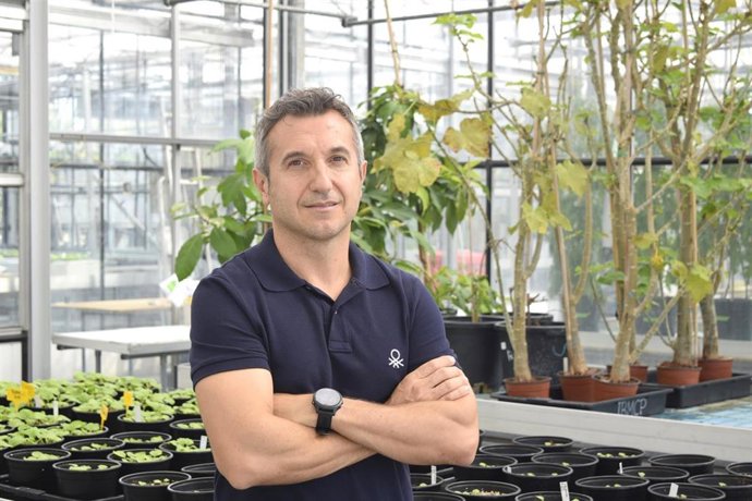 El investigador Alberto Carbonell