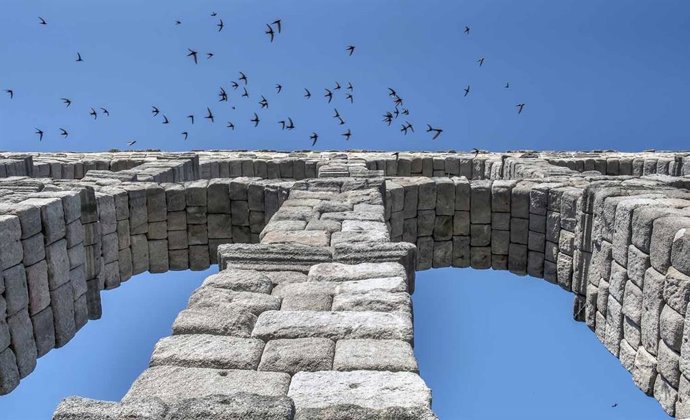 Archivo - Segovia acoge este fin de semana el II Festival de Vencejos