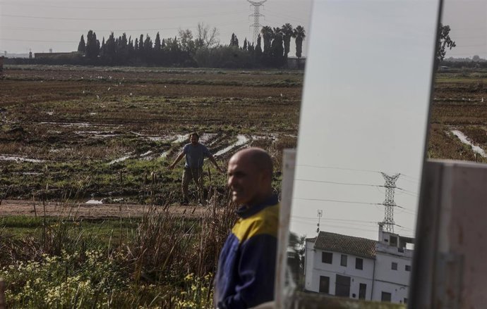 Archivo - Varias personas ayudan a limpiar los estragos ocasionados por la dana en una huerta en Valencia
