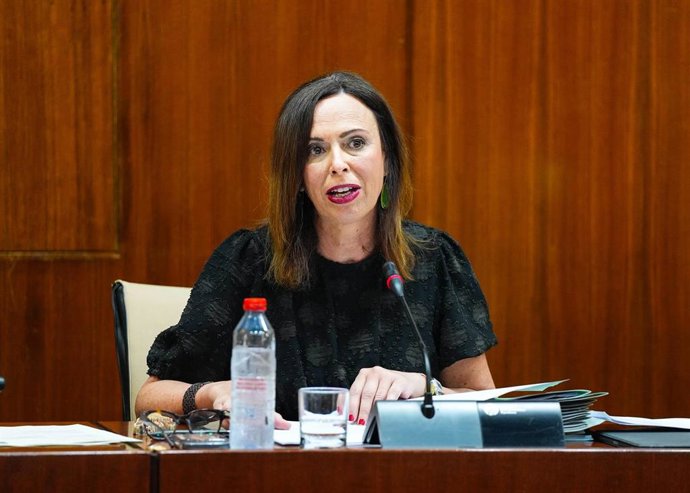 La consejera de Fomento, Articulación del Territorio y Vivienda, Rocío Díaz, en comisión parlamentaria.