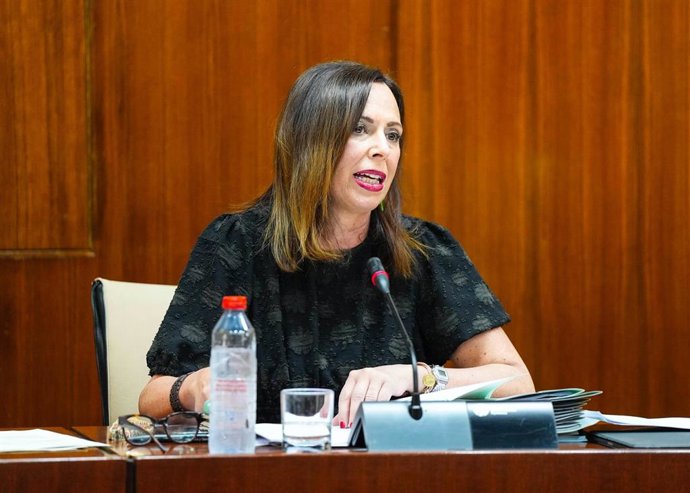 Fomento, Articulación Del Territorio Y Vivienda, Rocío Díaz, En Comisión Parlamentaria.