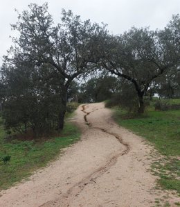 La Junta invierte 75.000 euros en el acceso al dolmen de Lácara