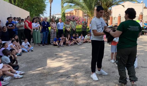 Es Andalucía - Jaén