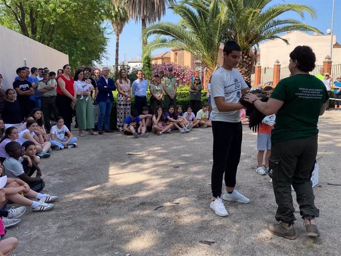 Esandalucia