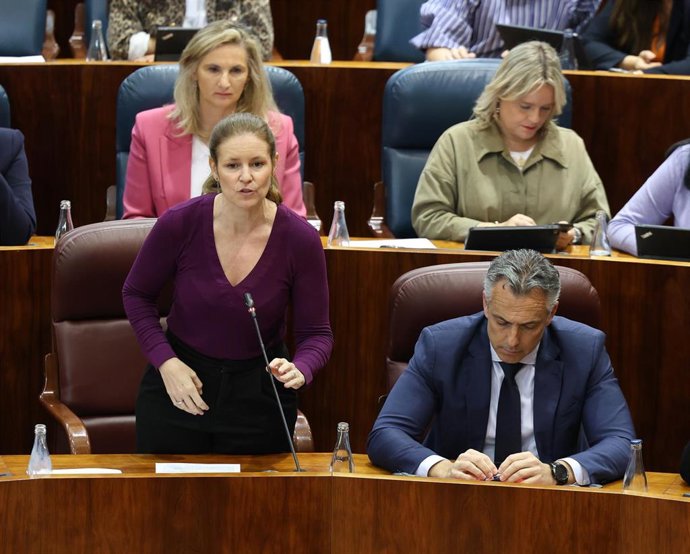 La consejera de Familia, Juventud y Asuntos Sociales, Ana Dávila, durante un pleno en la Asamblea de Madrid, a 8 de mayo de 2025