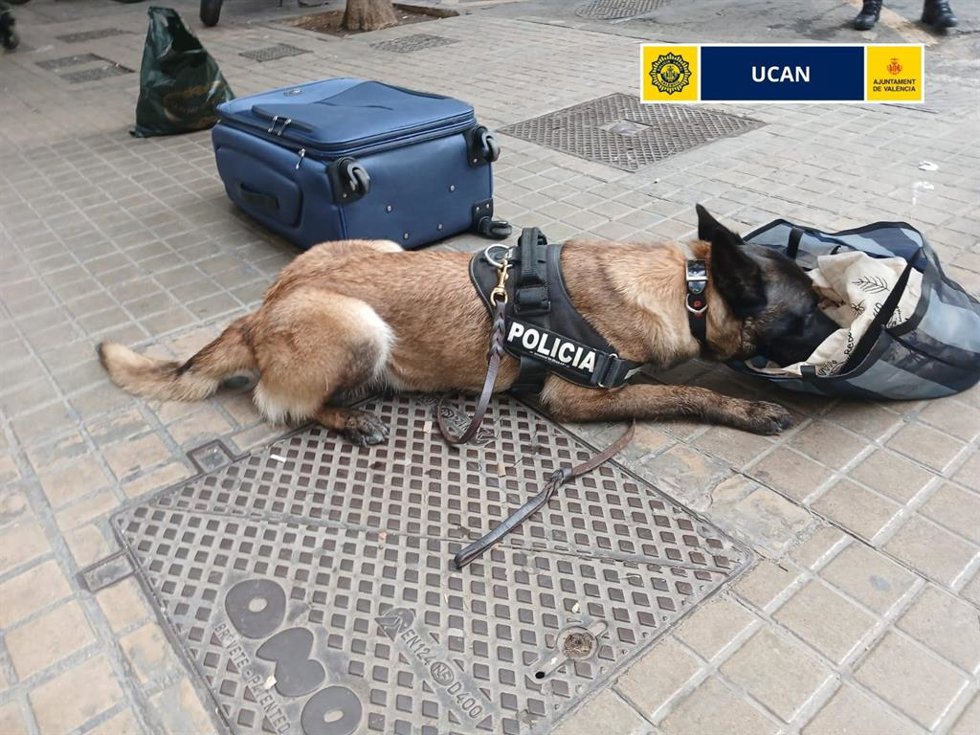 El agente canino K9 de la Unidad Canina UCAN de Valncia realiza un registro de maletas