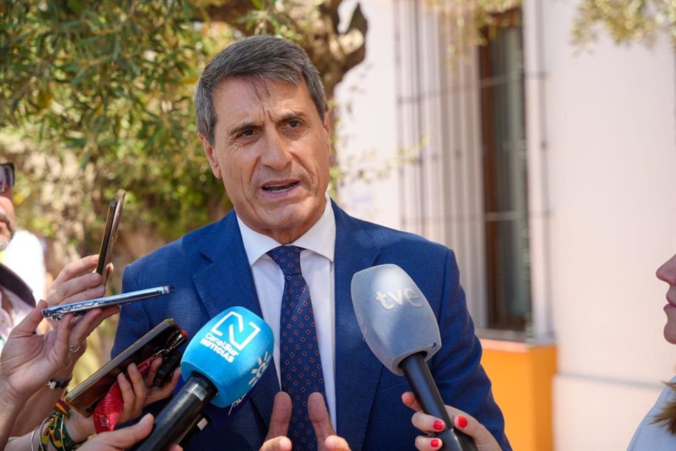 El delegado del Gobierno de España en Andalucía, Pedro Fernández