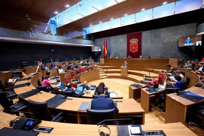 Pleno del Parlamento de Navarra.