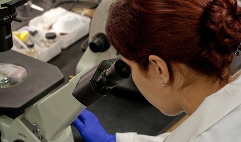 Es Andalucía - Granada