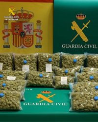 Detenidas dos personas en Valdemoro por transportar 15 kilos de cogollos de marihuana en su vehículo