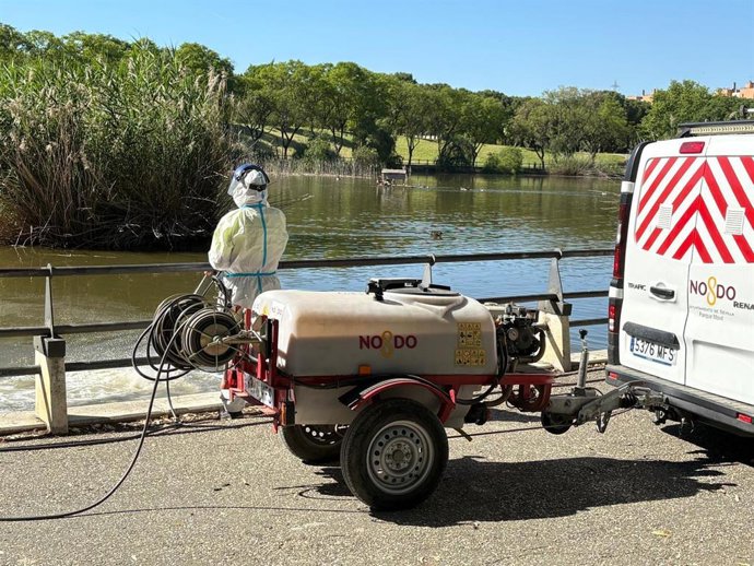 Labores de fumigación en estanques de competencia municipal contra los mosquitos.