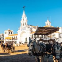 Almonte (Huelva) refuerza las medidas de bienestar animal en El Rocío con abrevaderos y zonas de sombreo y descanso