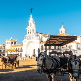 Animales en carruajes en El Rocío (Huelva).