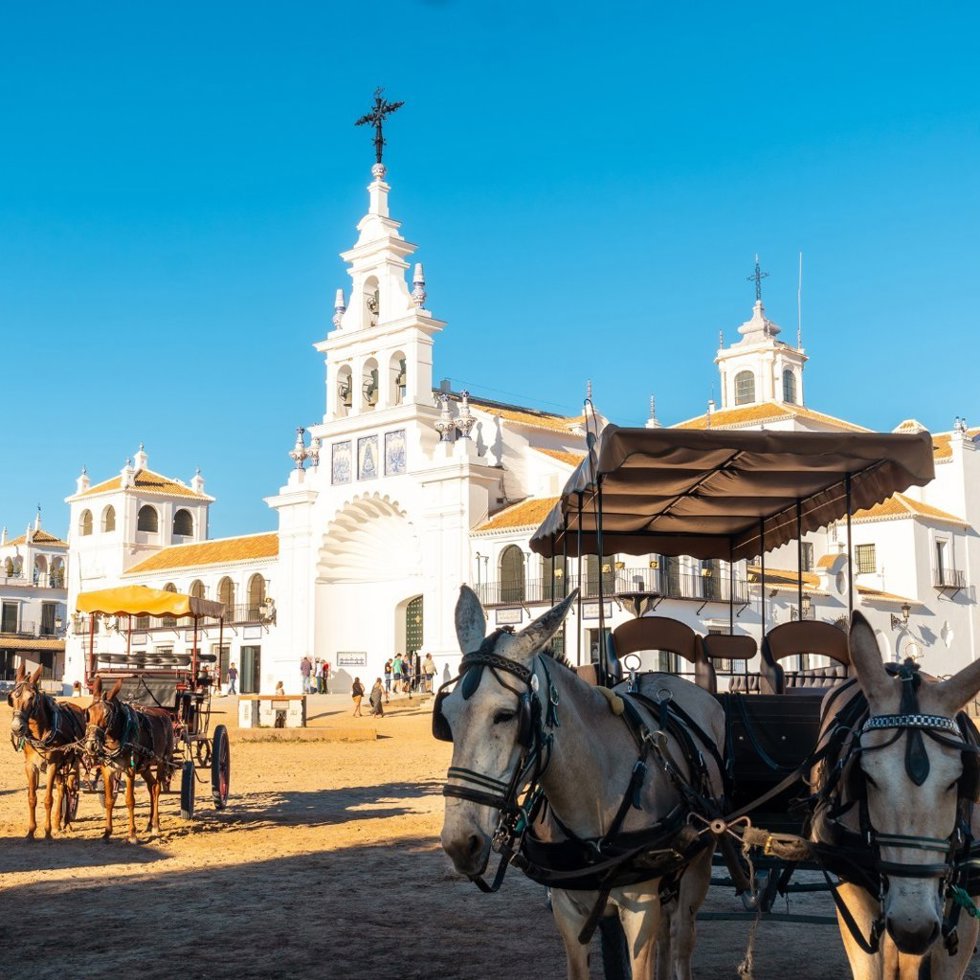 Animales en carruajes en El Rocío (Huelva).