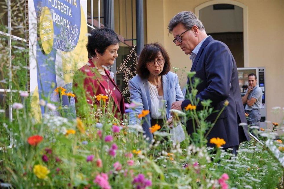 El festival 'Plantarina, floresta urbana' regresa a Tenerife este junio para "reverdecer" el paisaje urbano