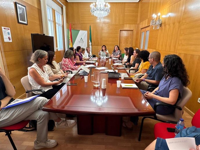 Botella (centro, al fondo), en la reunión del Comité Territorial de Salud en materia de Violencia de Género.