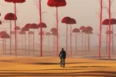 Foto: ¿Lo viste o lo imaginaste? Tu cerebro ya lo decidió