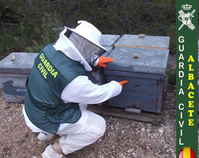 Agente de la Guardia Civil inspeccionando una colmena apícola.