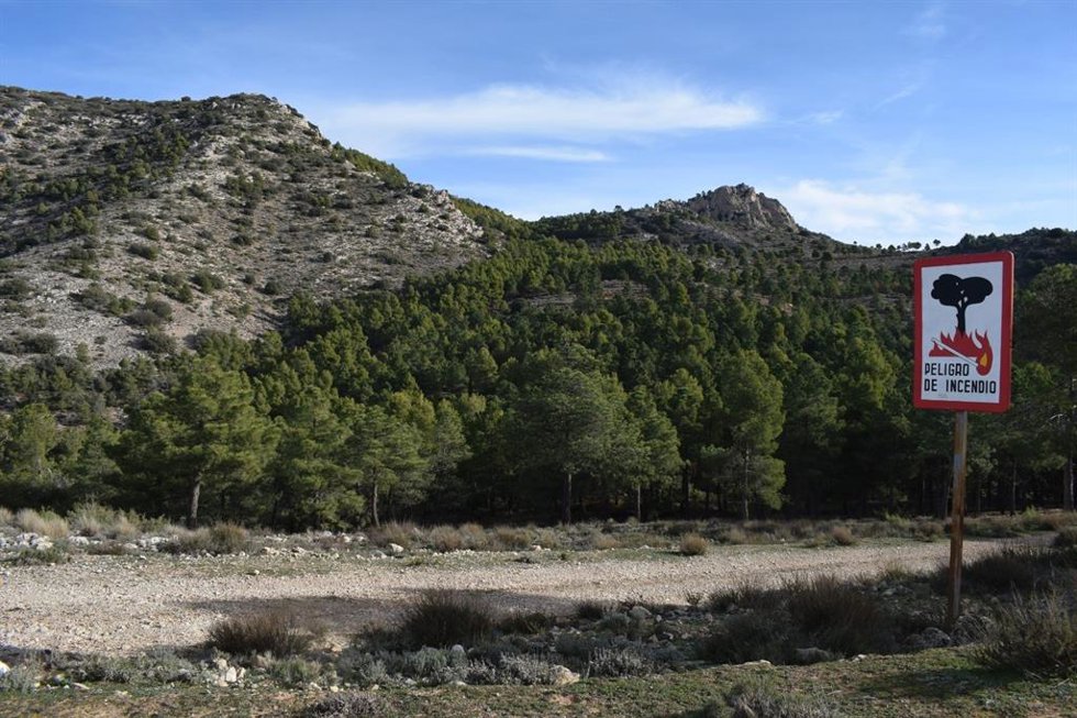 Zona de Los Tornajos en Lorca, donde se lleva a cabo el proyecto de rehabilitación de caminos forestales en los montes públicos