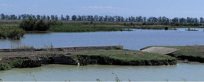 Meandro de El Capitán en el encauzamiento del Brazo del Este