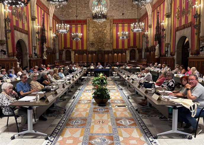 Pleno de este viernes del Consell Assessor de la Gent Gran (CAGG)